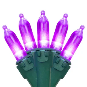 classic 100ct LED Mini Christmas Lights Green - 33' Green Wire Purple