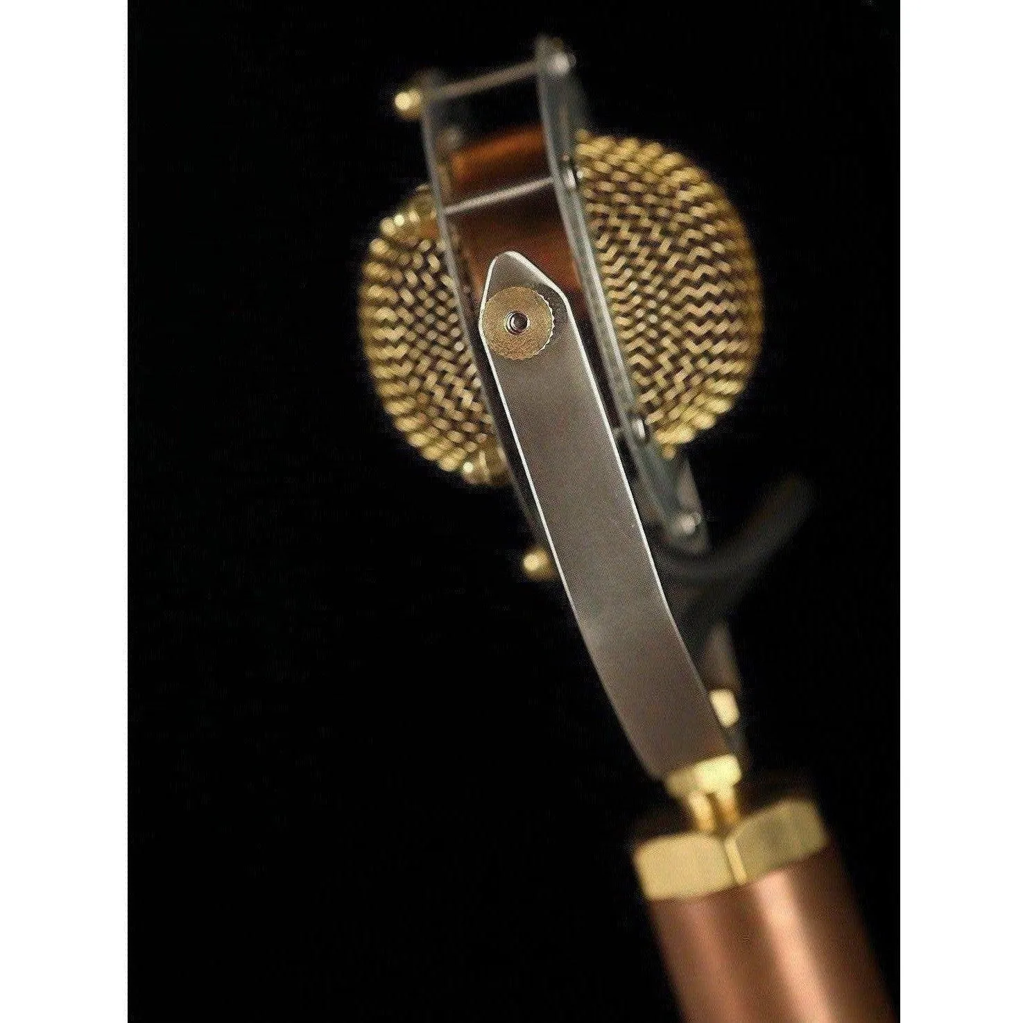 Ear Trumpet Labs Edwina Condensor Microphone