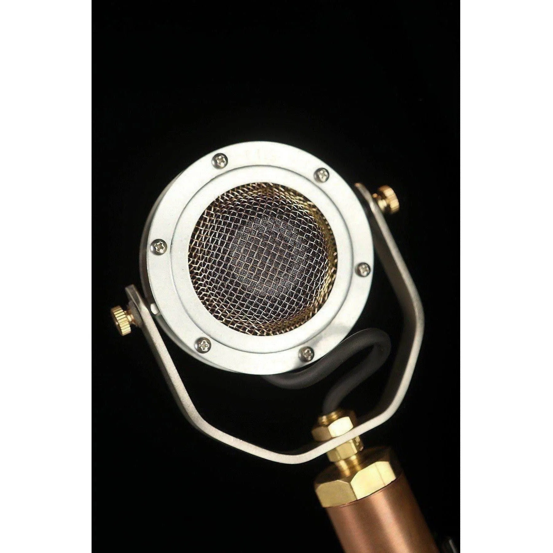 Ear Trumpet Labs Edwina Condensor Microphone