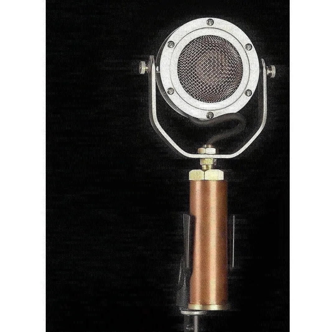 Ear Trumpet Labs Edwina Condensor Microphone