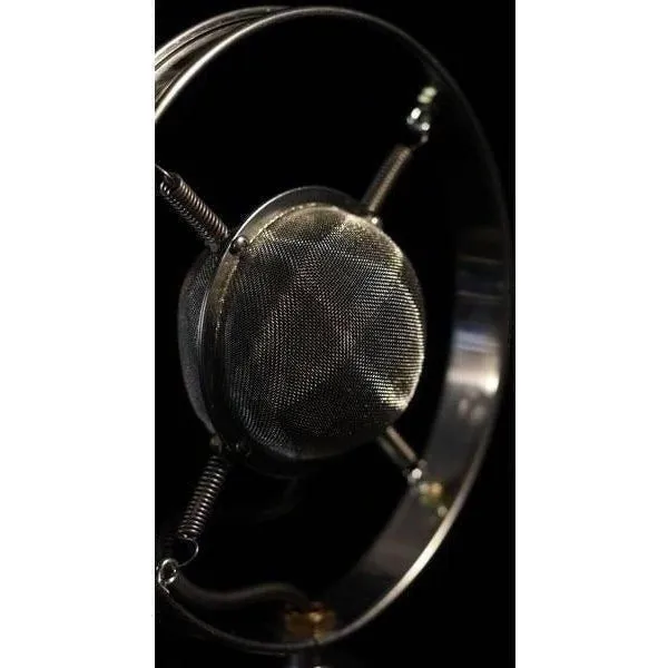 Ear Trumpet Labs Louise Condensor Microphone