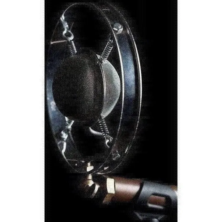 Ear Trumpet Labs Louise Condensor Microphone