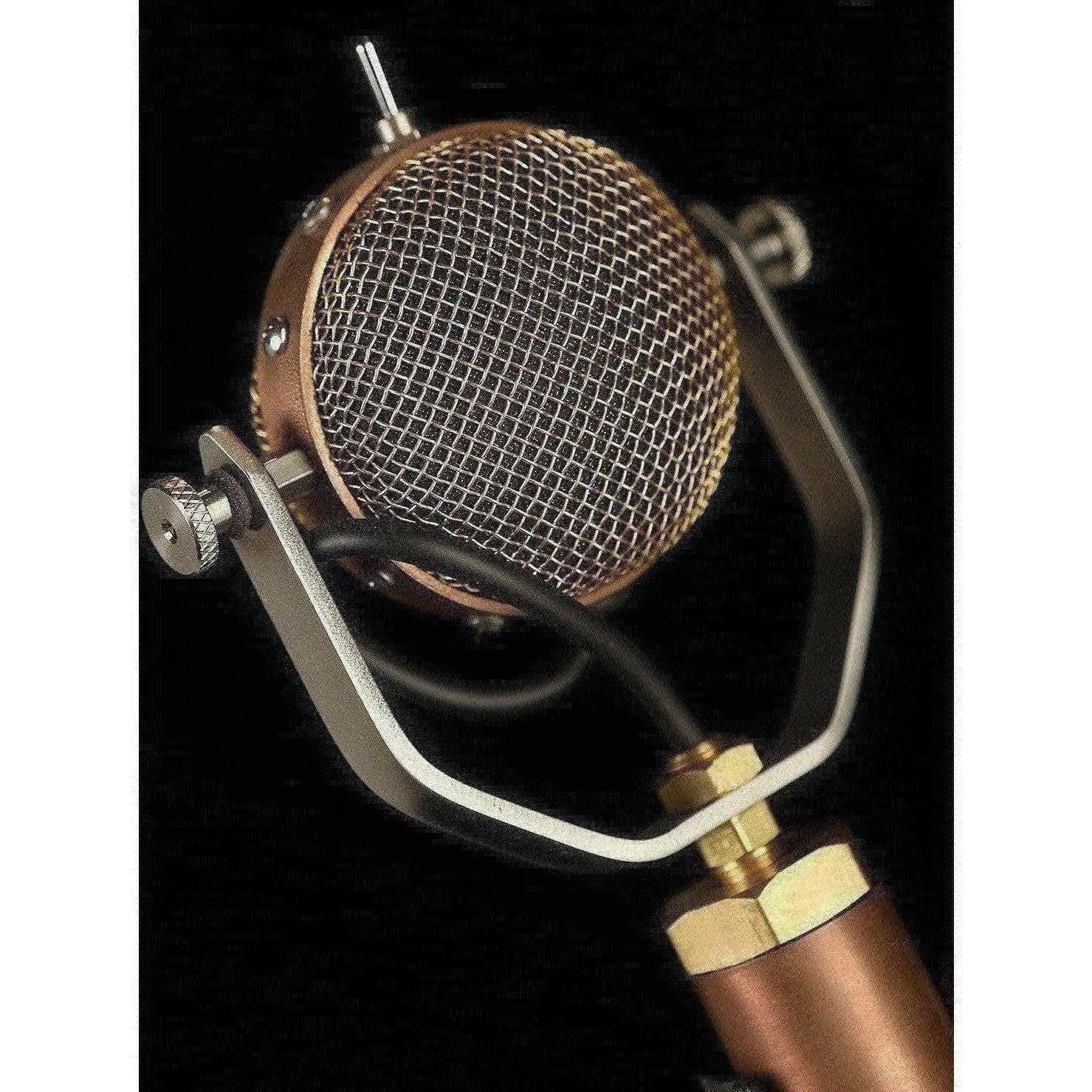 Ear Trumpet Labs Mabel Multi-Pattern Condensor Microphone