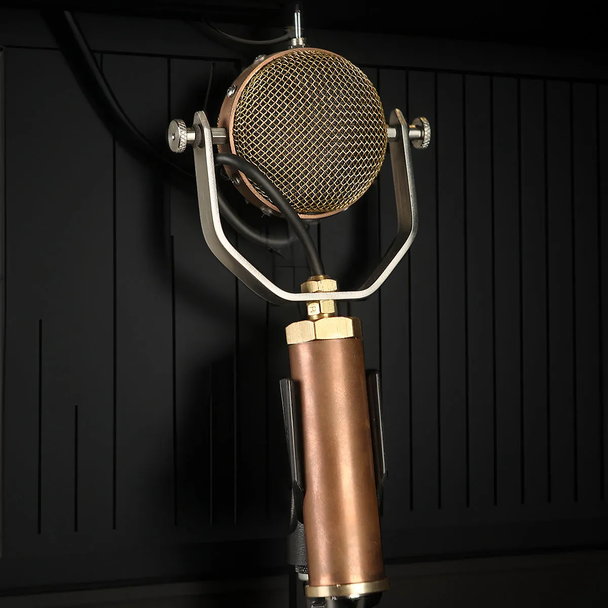 Ear Trumpet Labs Mabel Multi-Pattern Condensor Microphone
