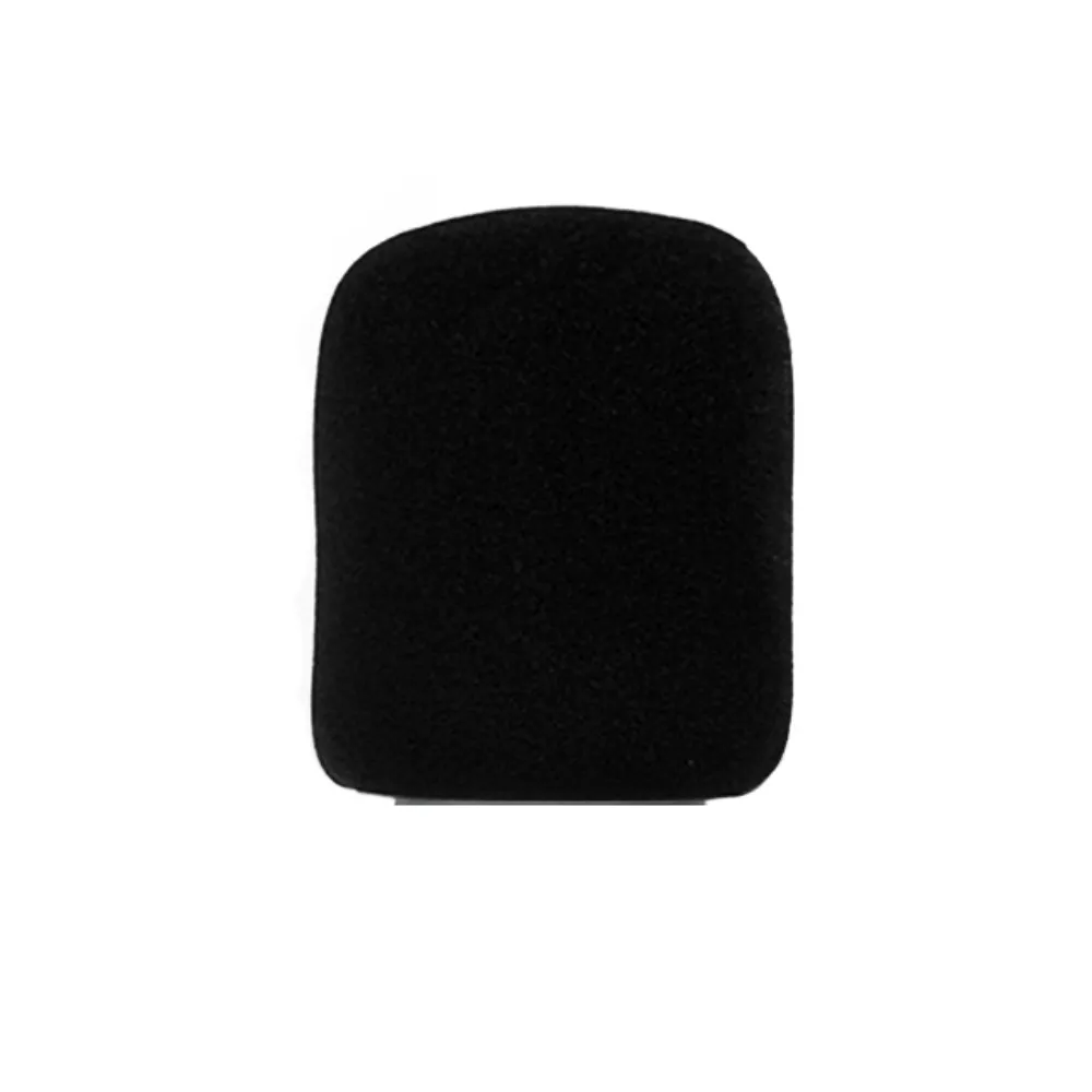 FTS C-2 Condenser Microphone