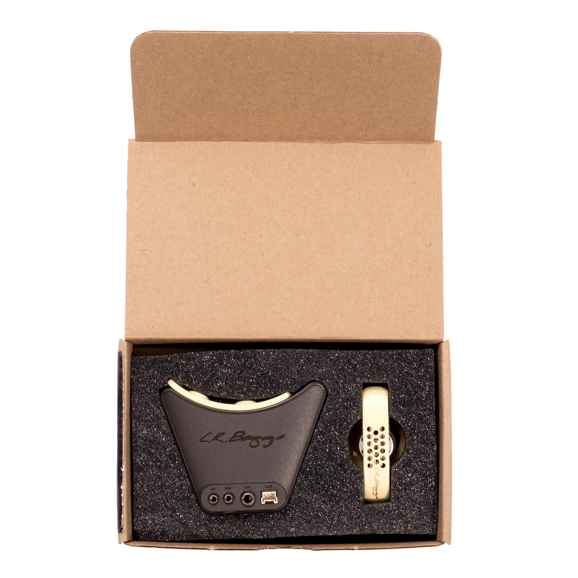 L.R. Baggs Anthem Acoustic Guitar Pickup and Microphone