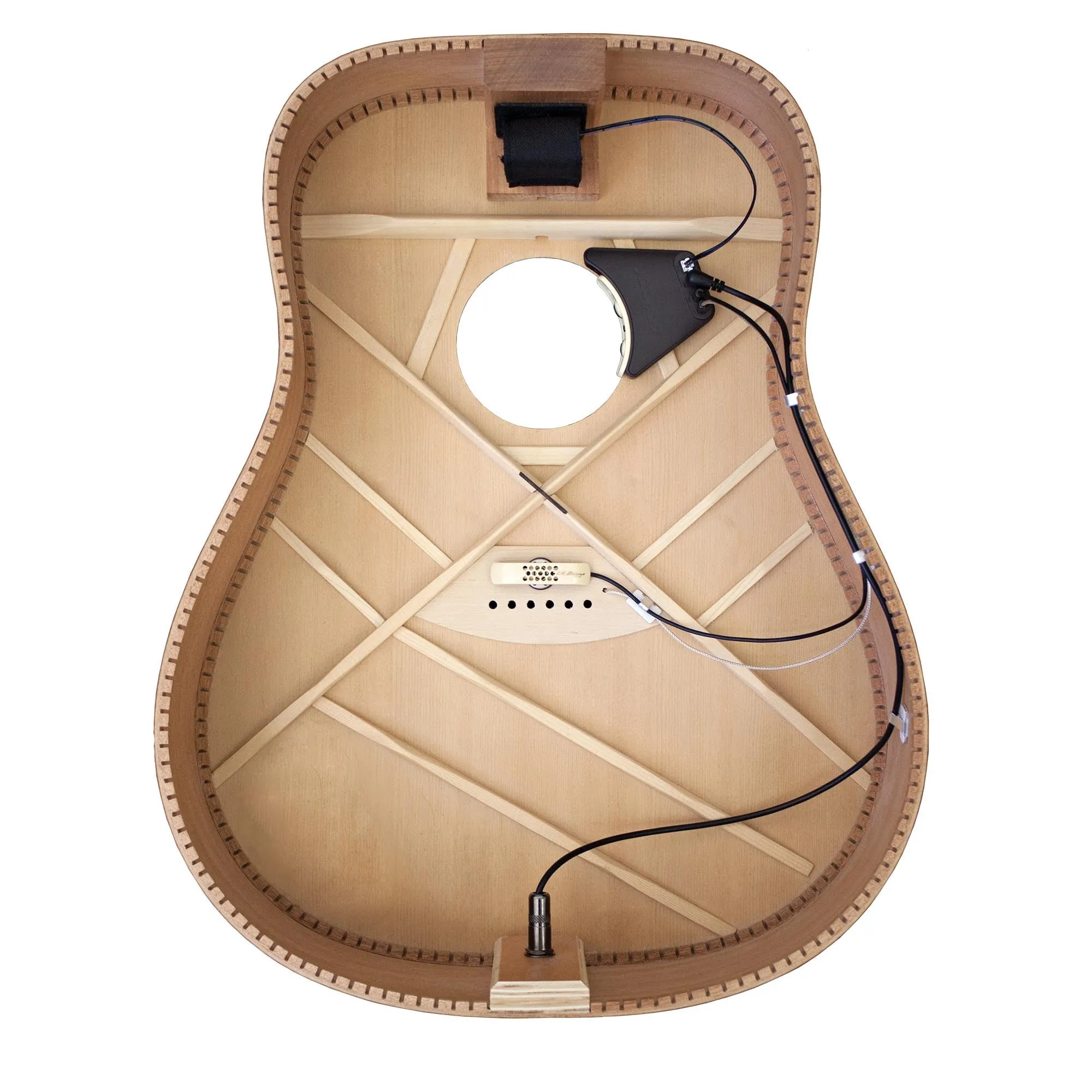 L.R. Baggs Anthem Acoustic Guitar Pickup and Microphone