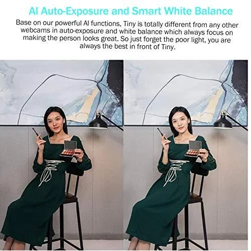 OBSBOT Tiny AI-Powered PTZ Webcam Ai Camera 2-Axis Gimbal Full HD 1080p AI Tracking Zoom Power Gesture Selfie Video Camera for Online Class Meeting Live and Streaming - Black