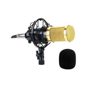 Professional Recording Condenser Microphone Q-Mic3