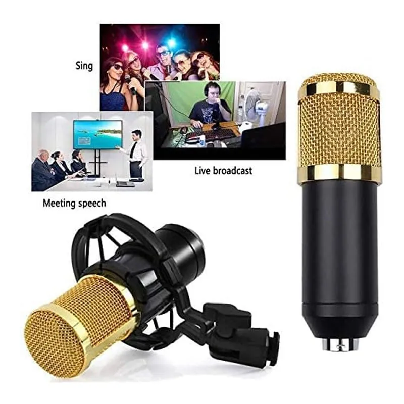 Professional Recording Condenser Microphone Q-Mic3