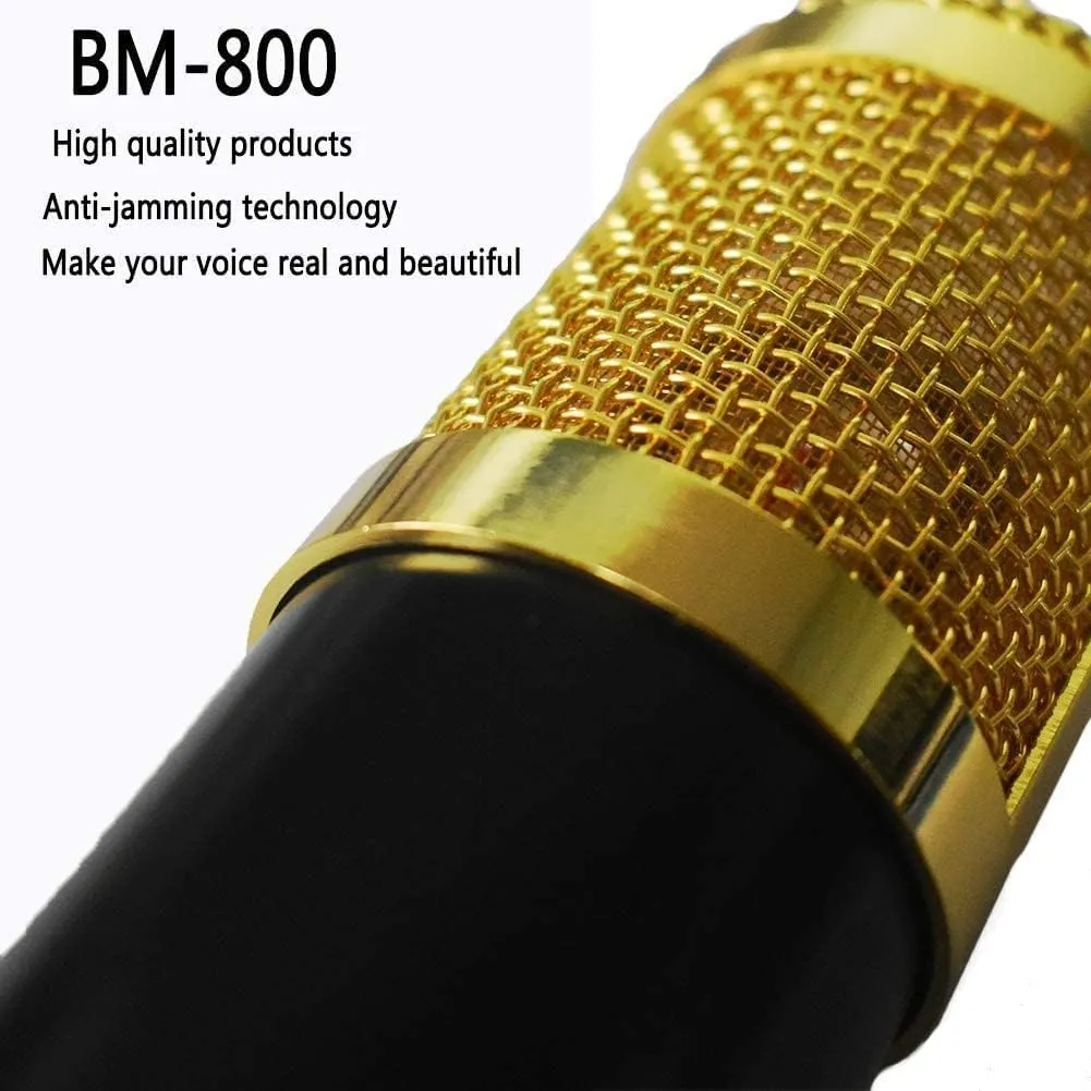 Professional Recording Condenser Microphone Q-Mic3
