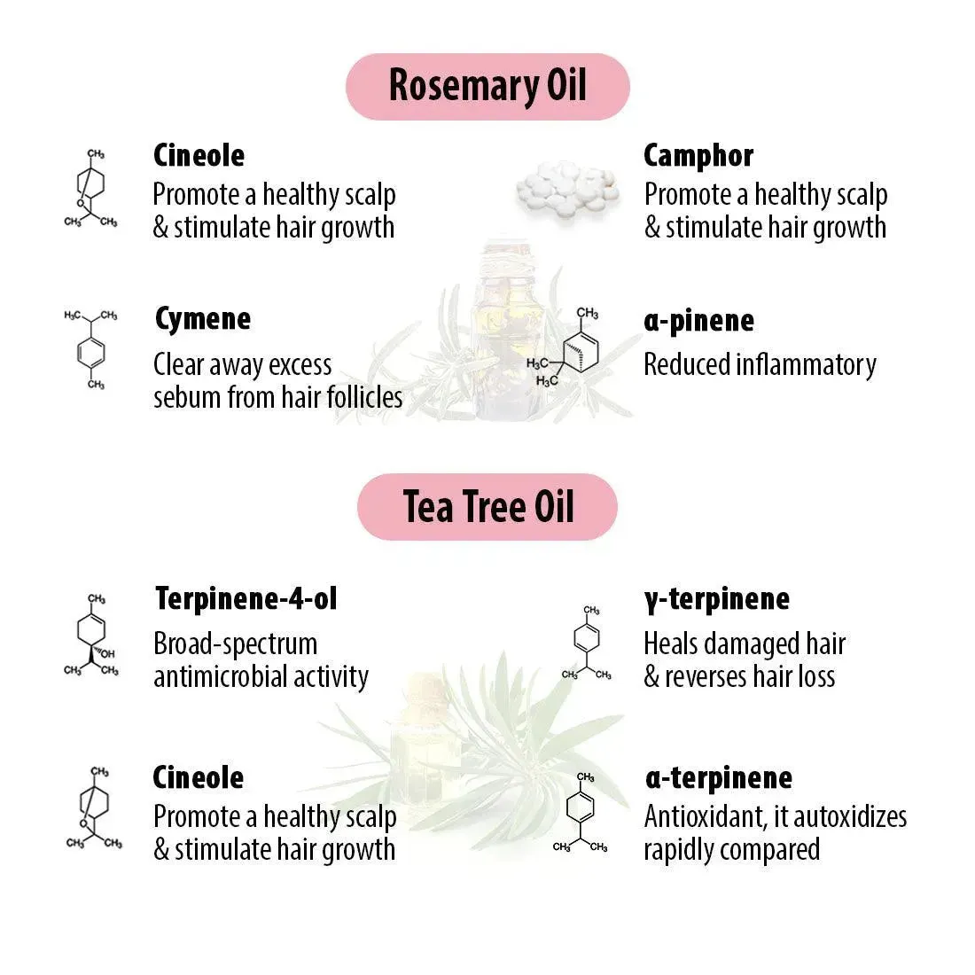 Schoolers Hair Oil for school-going Kids Girl & Boy with Rosemary & Tea Tree Oil –Strengthens & Promotes Hair Growth & Nourishes Hair Follicles