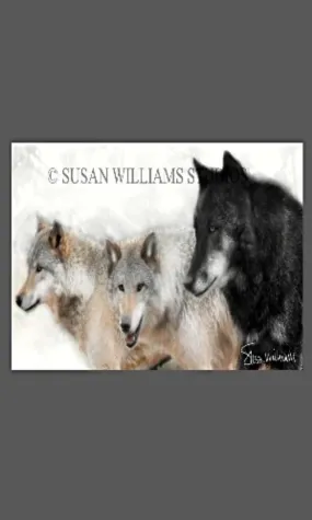 Susan Williams 3 Wolves Photograph on Canvas